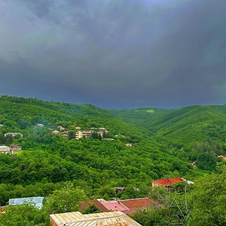 Hotel Vim In Siğnaği Dış mekan fotoğraf