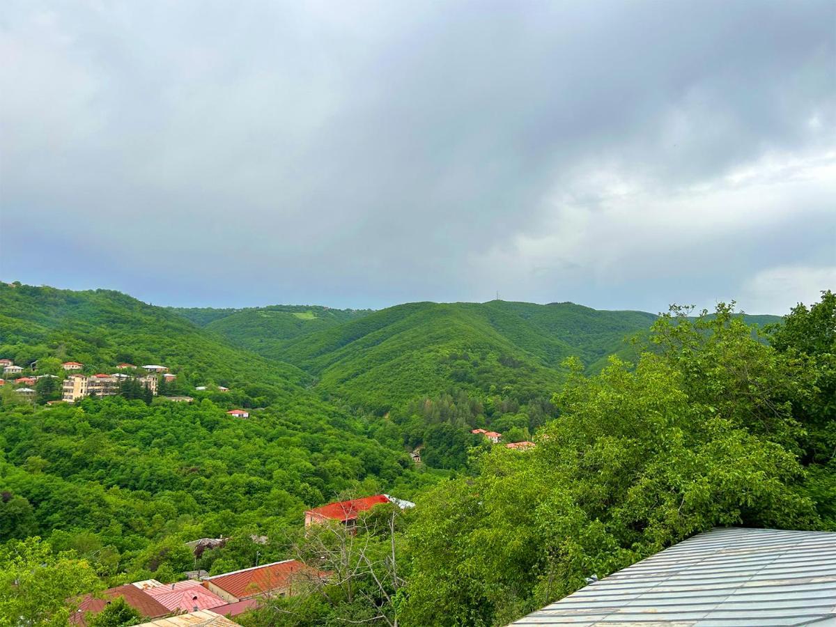 Hotel Vim In Siğnaği Dış mekan fotoğraf
